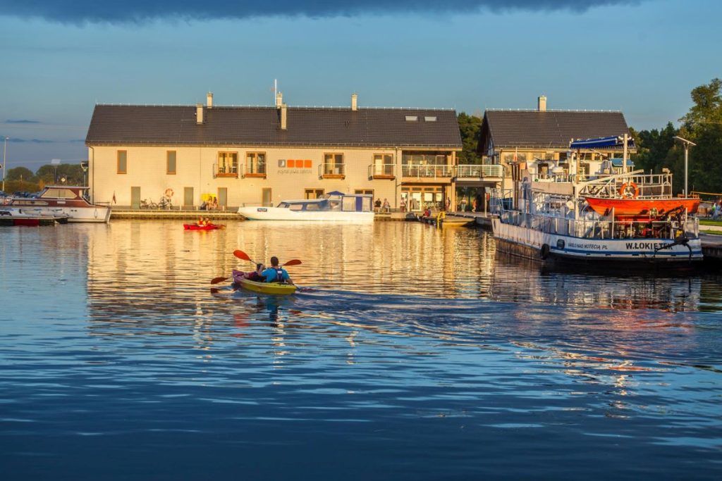 Ilustracja artykułu: Krajna