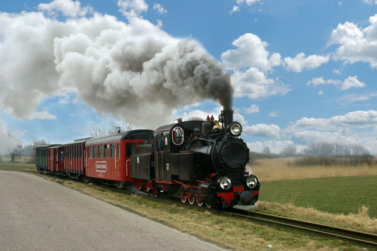 Ilustracja artykułu: Pałuki