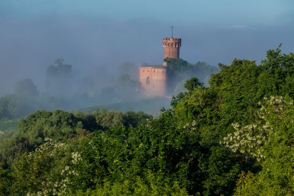 Ilustracja artykułu: Kociewie