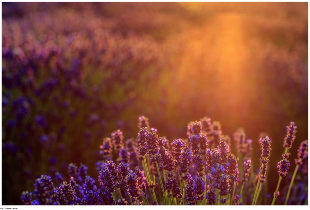 Ilustracja artykułu: Slow travel w Kujawsko-Pomorskim