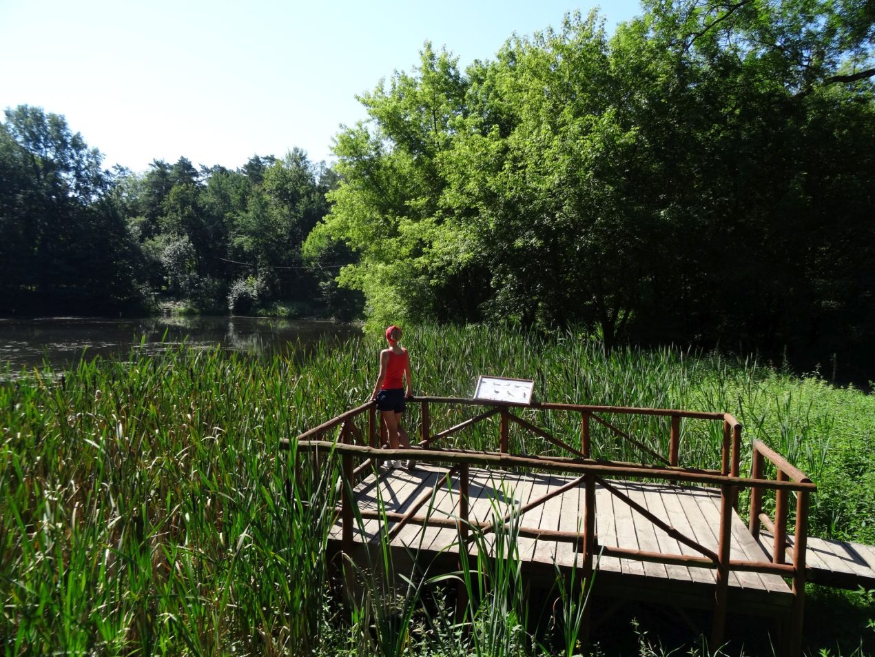 Ilustracja do wpisu: Barbarka