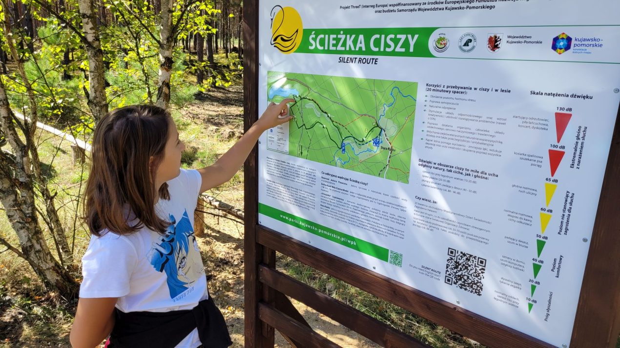 Ilustracja do wpisu: Ścieżka ciszy