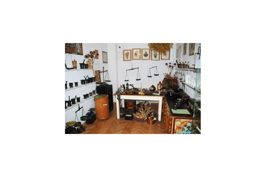 Ilustracja do wpisu: Wystawa „Zielarnia”