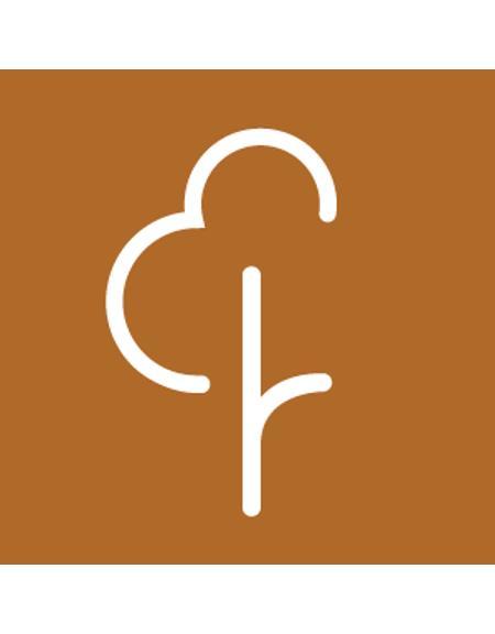 Ilustracja artykułu: Parkrun Bydgoszcz