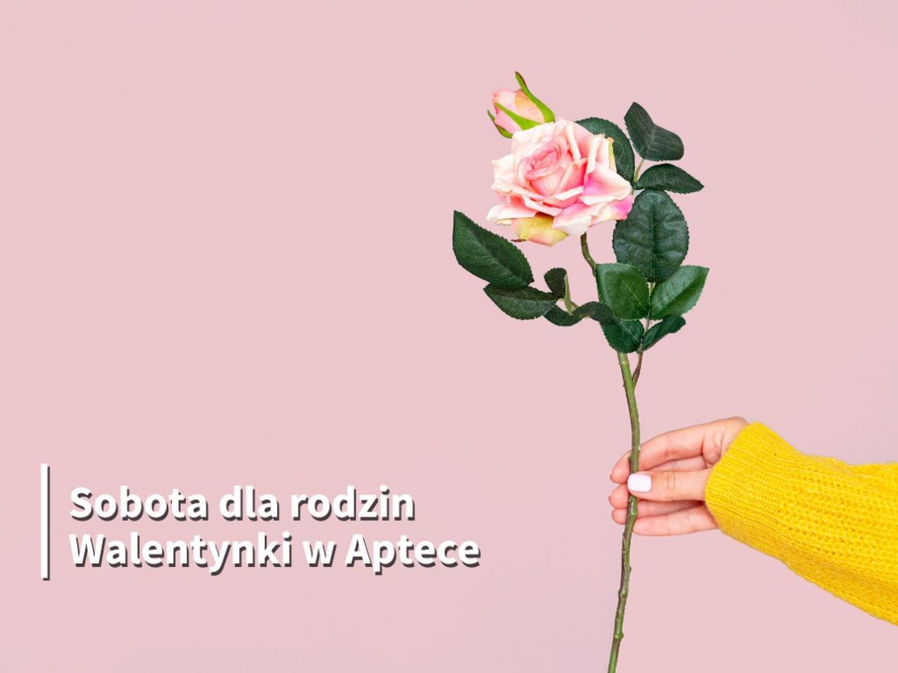 Ilustracja artykułu: Sobota dla rodzin: Walentynki w Aptece