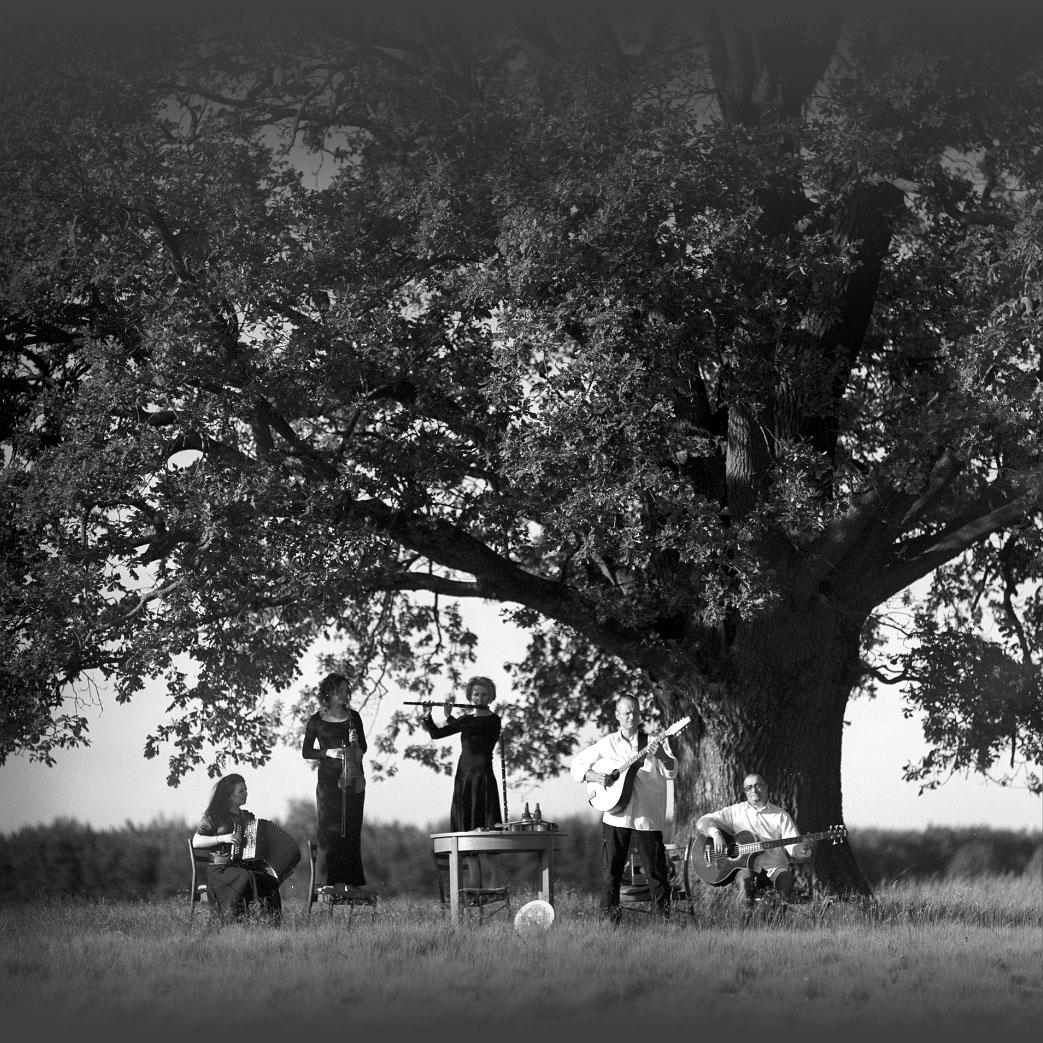 Ilustracja artykułu: Dair // koncert