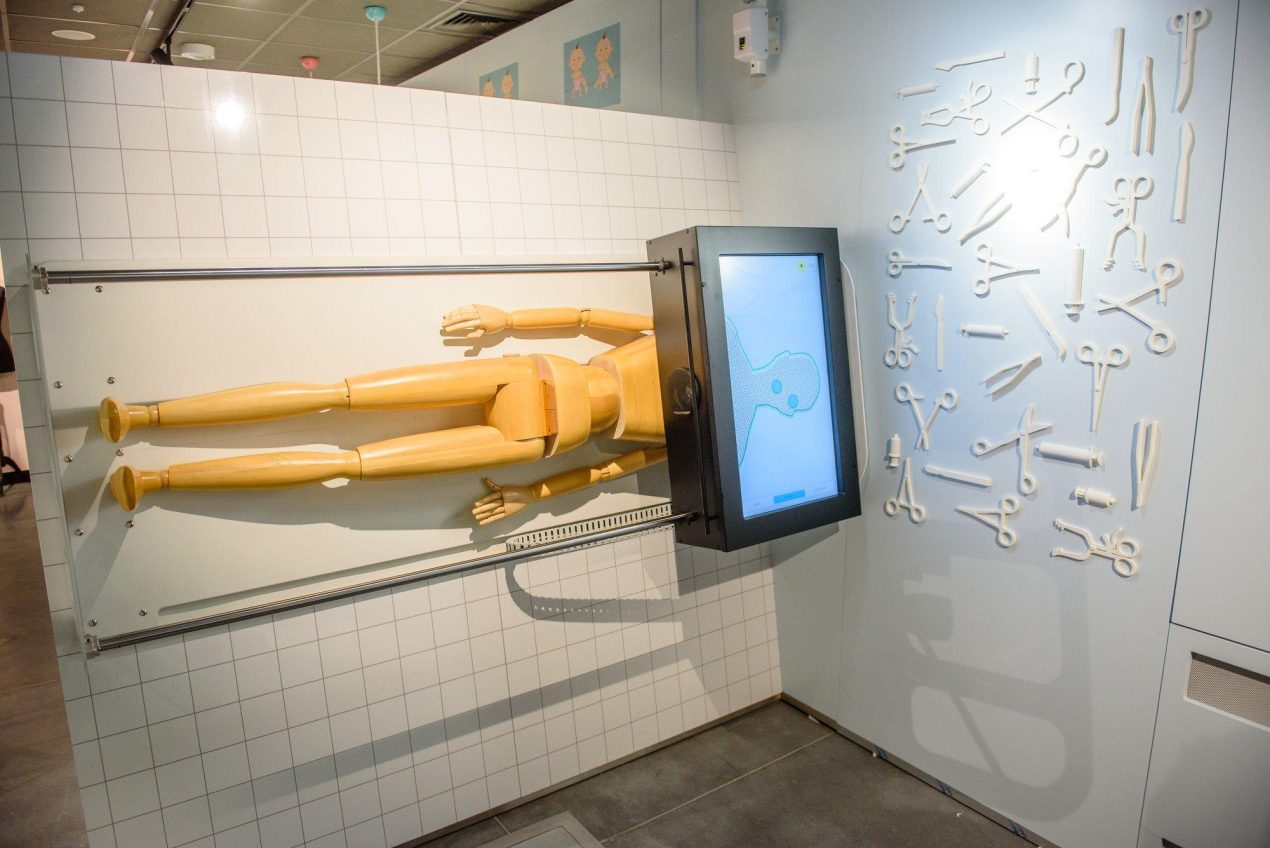 Ilustracja artykułu: Wystawa „Ścieżki dorastania”