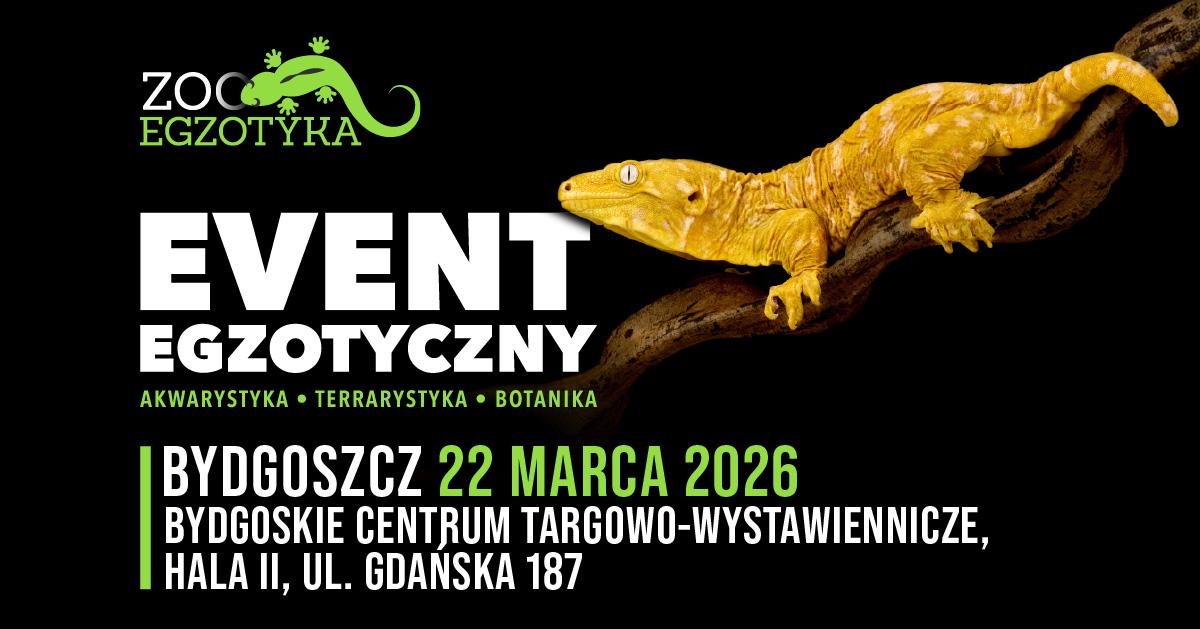 Ilustracja do wpisu: Zooegzotyka