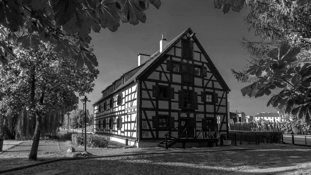 Ilustracja do wpisu: Zbiory Archeologiczne w Bydgoszczy