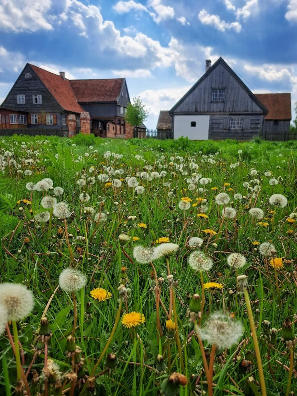 Ilustracja do wpisu: Olenderski Park Etnograficzny – ekspozycja plenerowa
