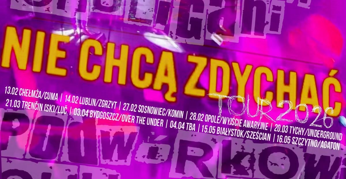 Ilustracja do wpisu: Podwórkowi Chuligani – Nie chcą zdychać