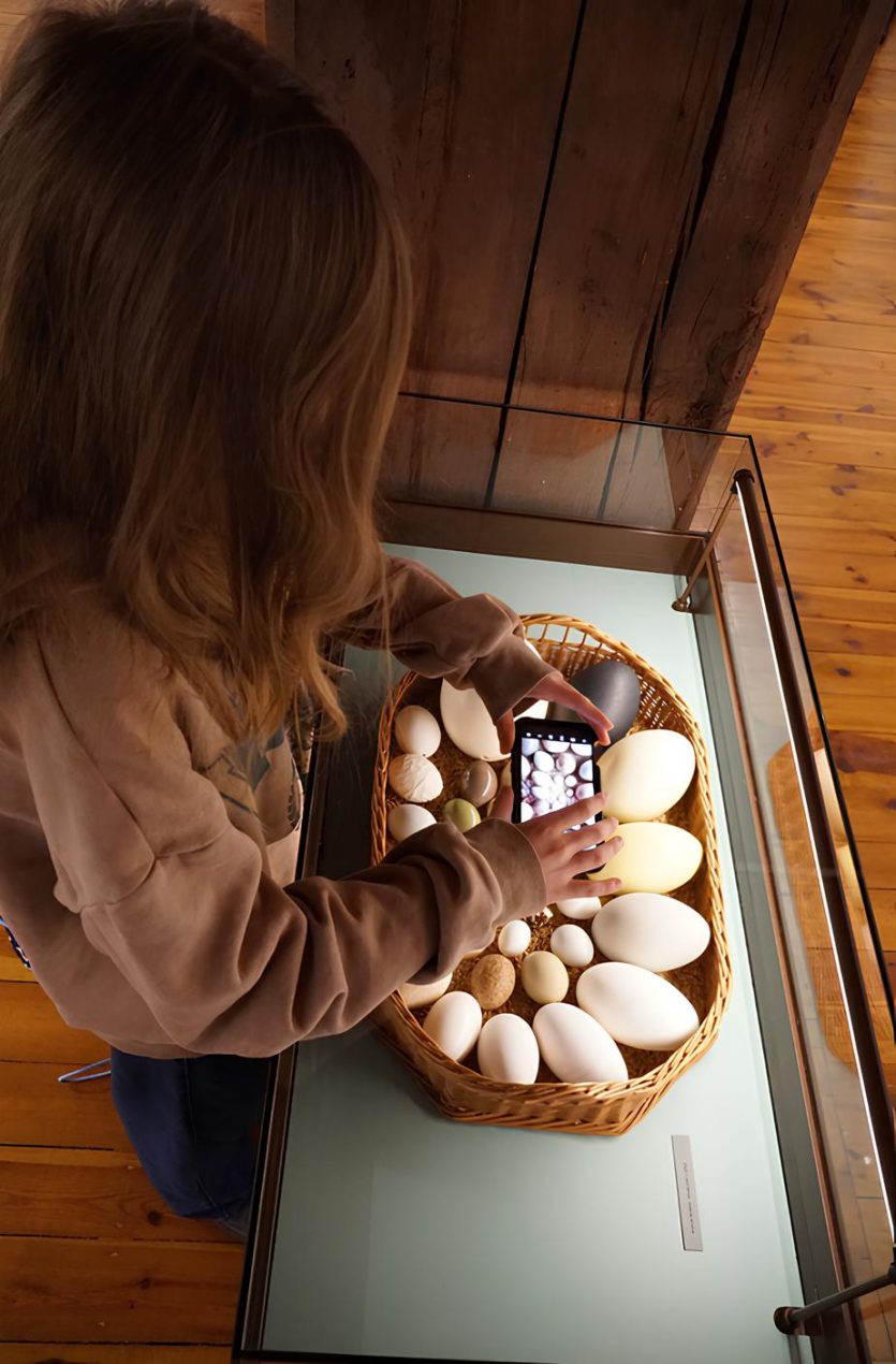 Ilustracja do wpisu: Eskapada. Poznaj swój region z przewodnikiem