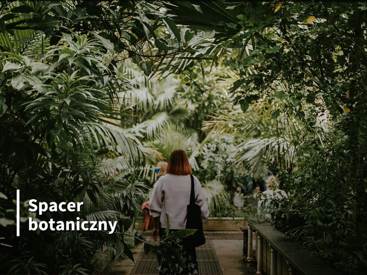 Ilustracja do wpisu: Spacer botaniczny „Zielnik na żywo. Rośliny