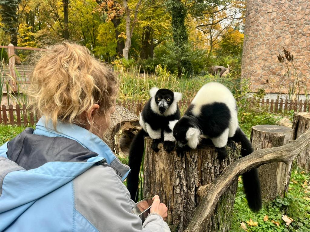 Ilustracja artykułu: Ogród Zoobotaniczny w Toruniu