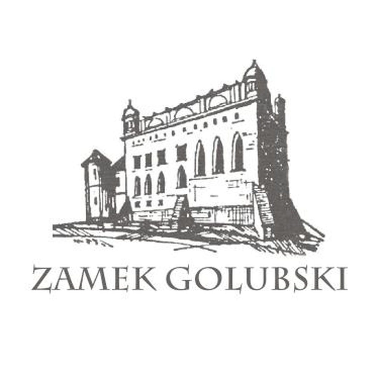 Ilustracja artykułu: Międzynarodowy Turniej Rycerski