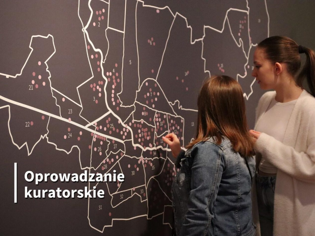 Ilustracja do wpisu: Oprowadzanie kuratorskie. „Osiedla bydgoskie. Czyżkówko ·