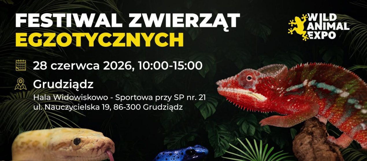 Ilustracja artykułu: Targi Zwierząt Egzotycznych w Grudziądzu