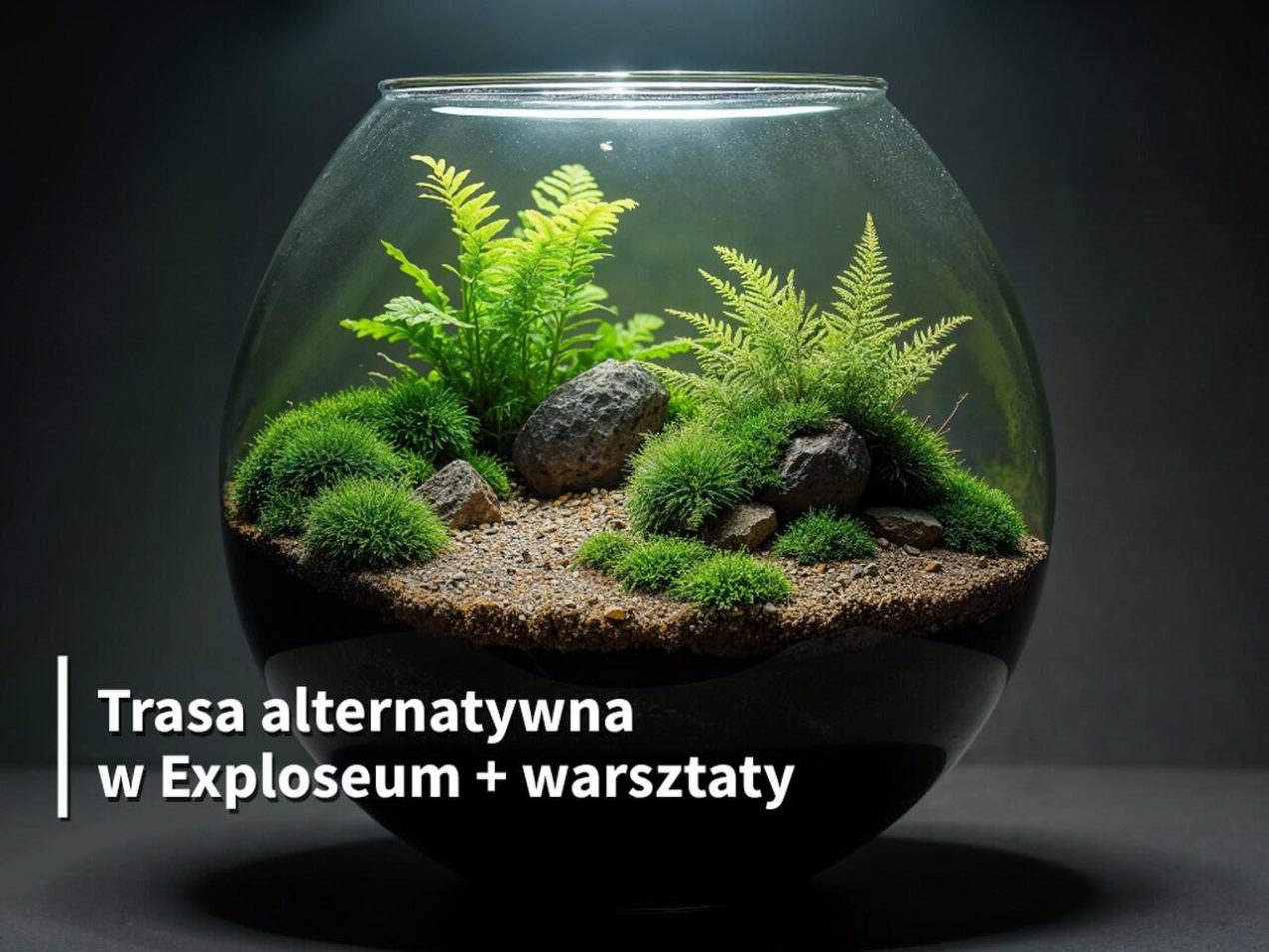 Ilustracja artykułu: Trasa alternatywna „Las w słoiku”