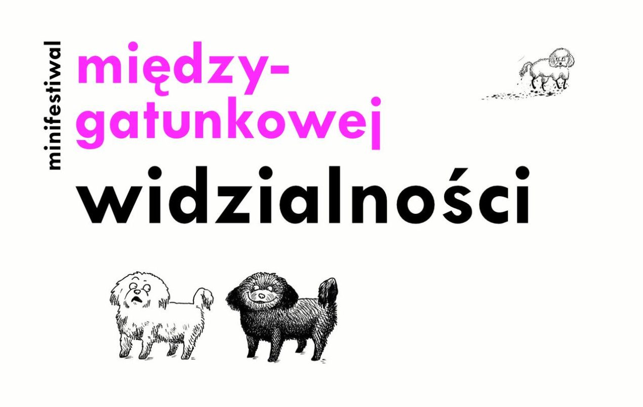 Ilustracja artykułu: Minifestiwal Międzygatunkowej Widzialności – dzień 2
