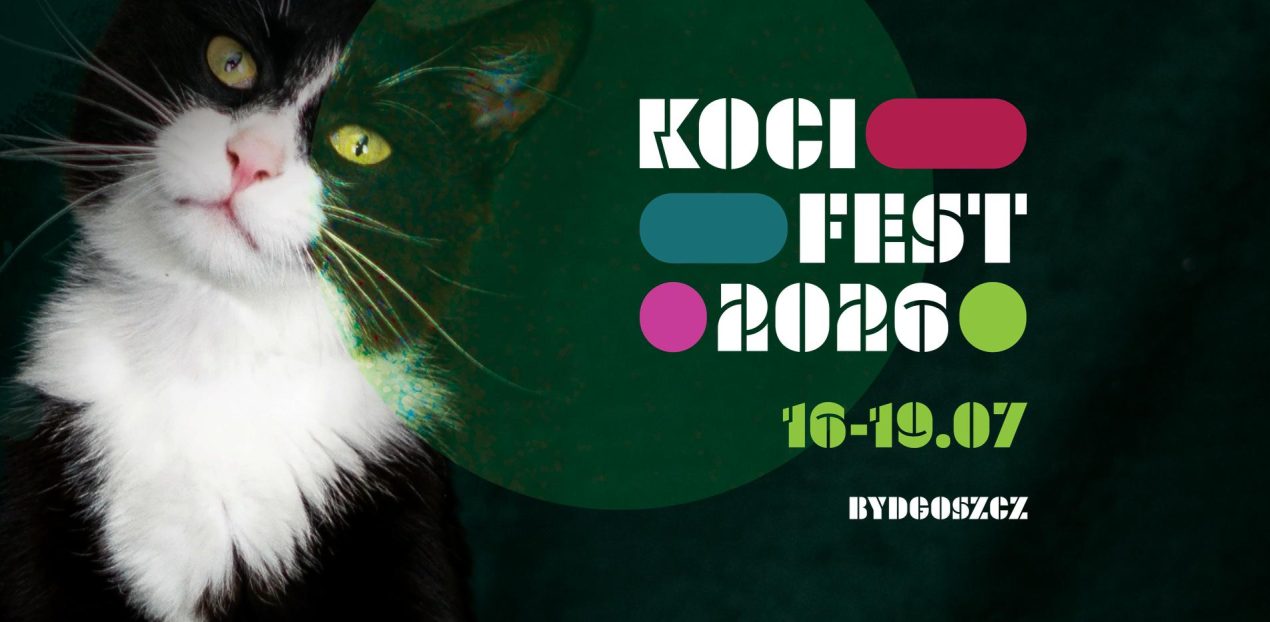 Ilustracja artykułu: Festiwal Miłośników Kotów Koci Fest 2026