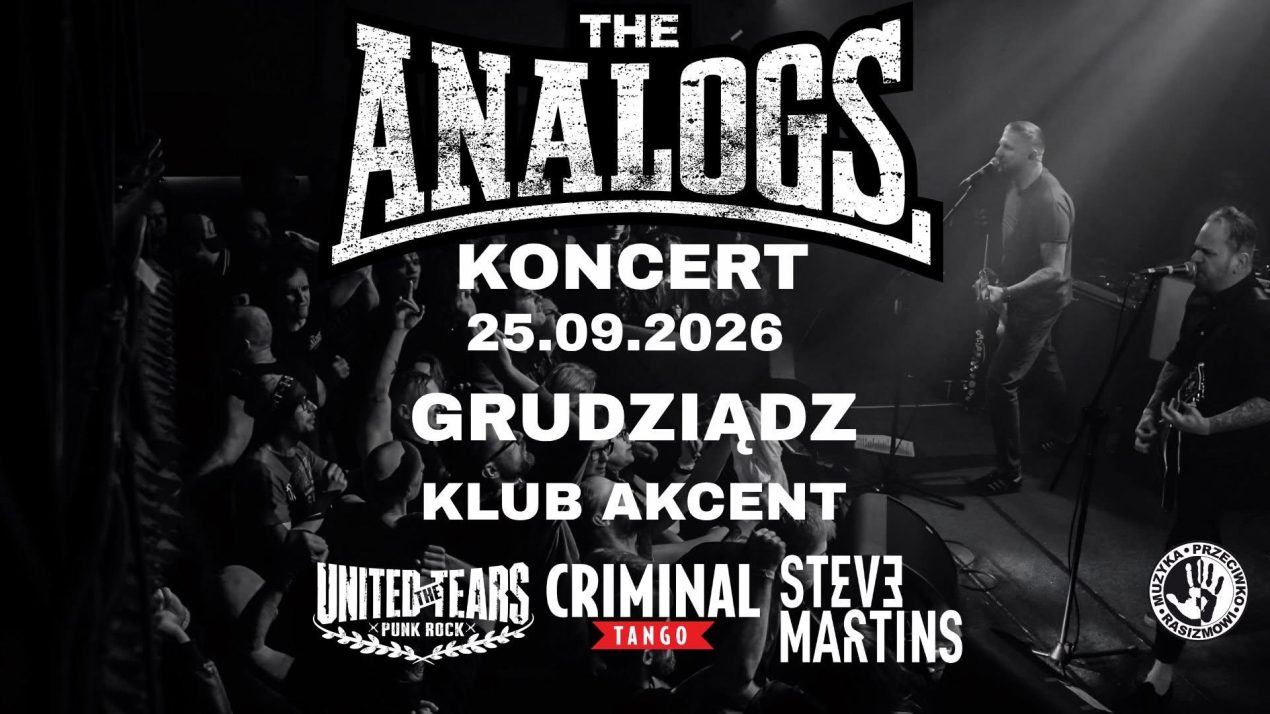 Ilustracja artykułu: Koncert – The Analogs