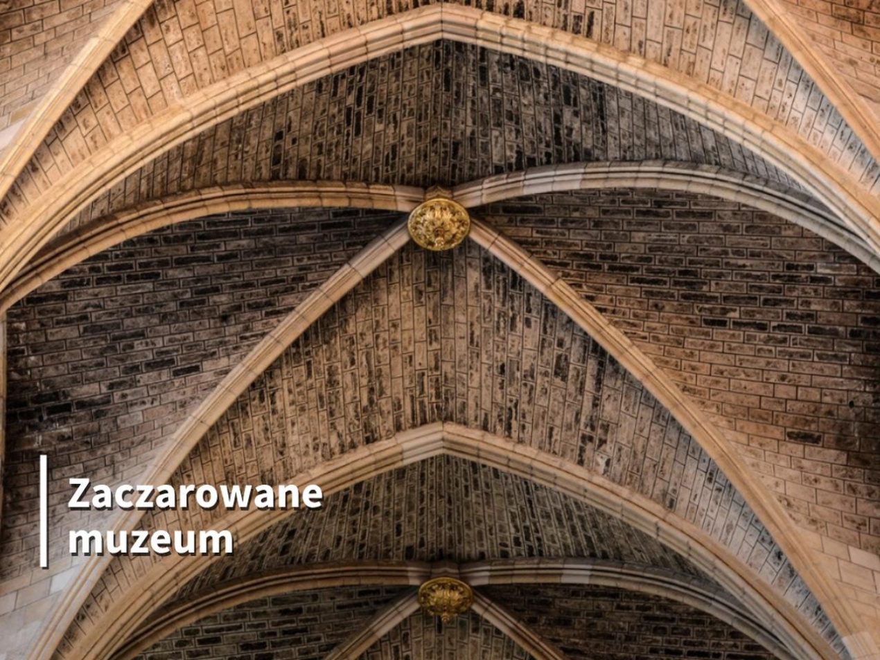 Ilustracja artykułu: „Pod podłogą katedry” – warsztaty plastyczne