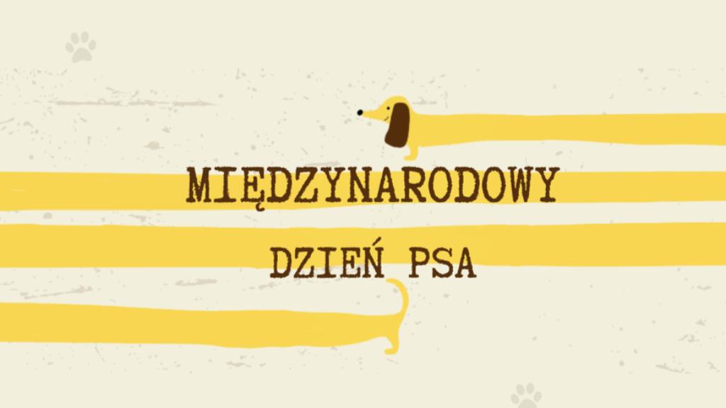 Ilustracja artykułu: Inowrocław obchodzi Międzynarodowy Dzień Psa