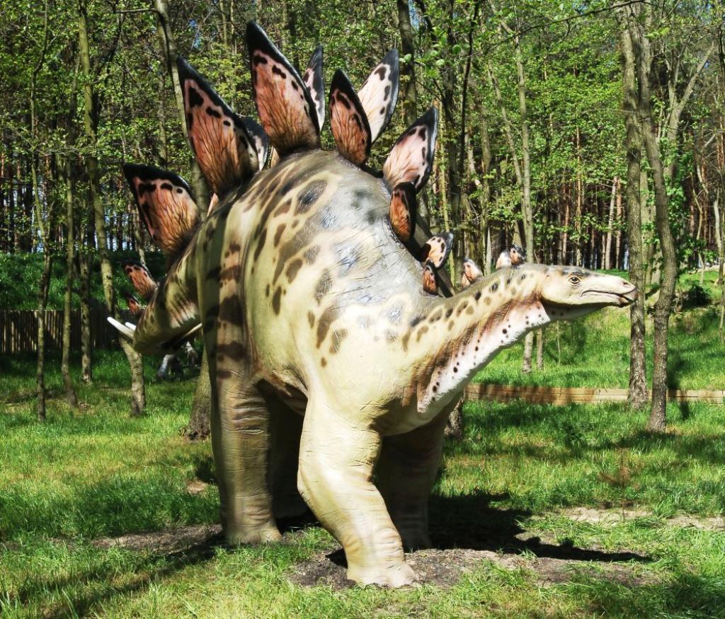 Ilustracja artykułu: Zaurolandia Rodzinny Park Rozrywki
