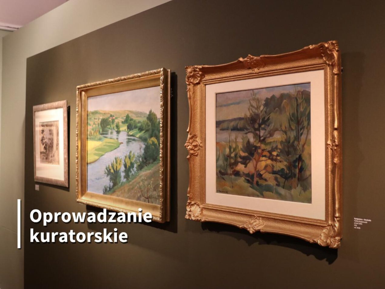 Ilustracja artykułu: Oprowadzanie kuratorskie „Osiedla bydgoskie”
