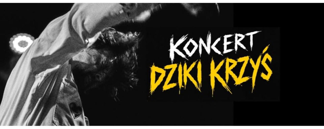 Ilustracja artykułu: Dziki Krzyś / koncert